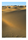 Desert Wind print