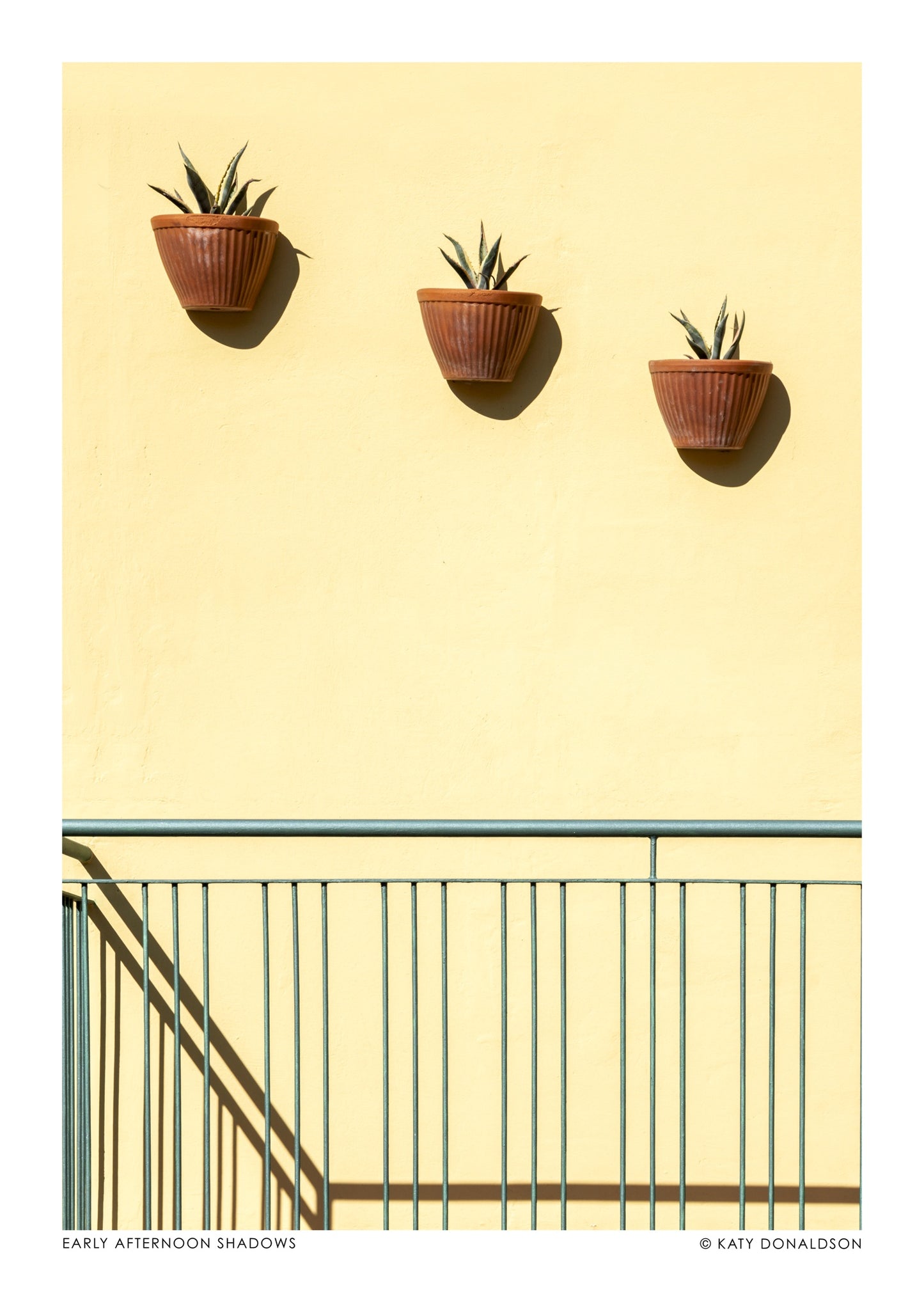 Early Afternoon Shadows