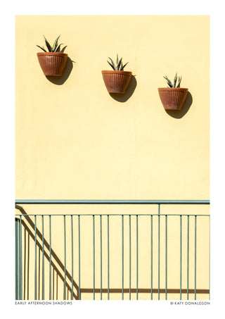 Early Afternoon Shadows print