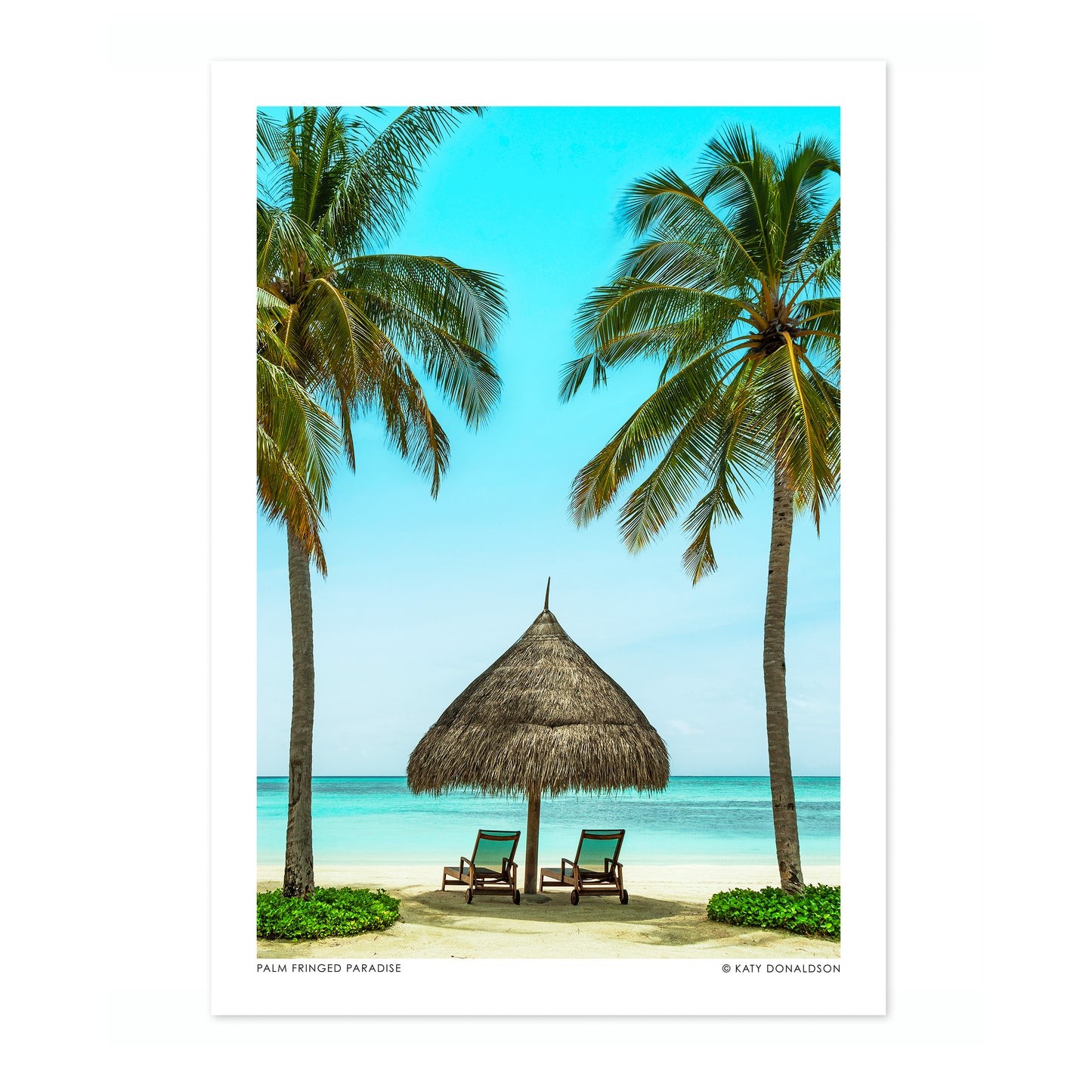 Palm Fringed Paradise