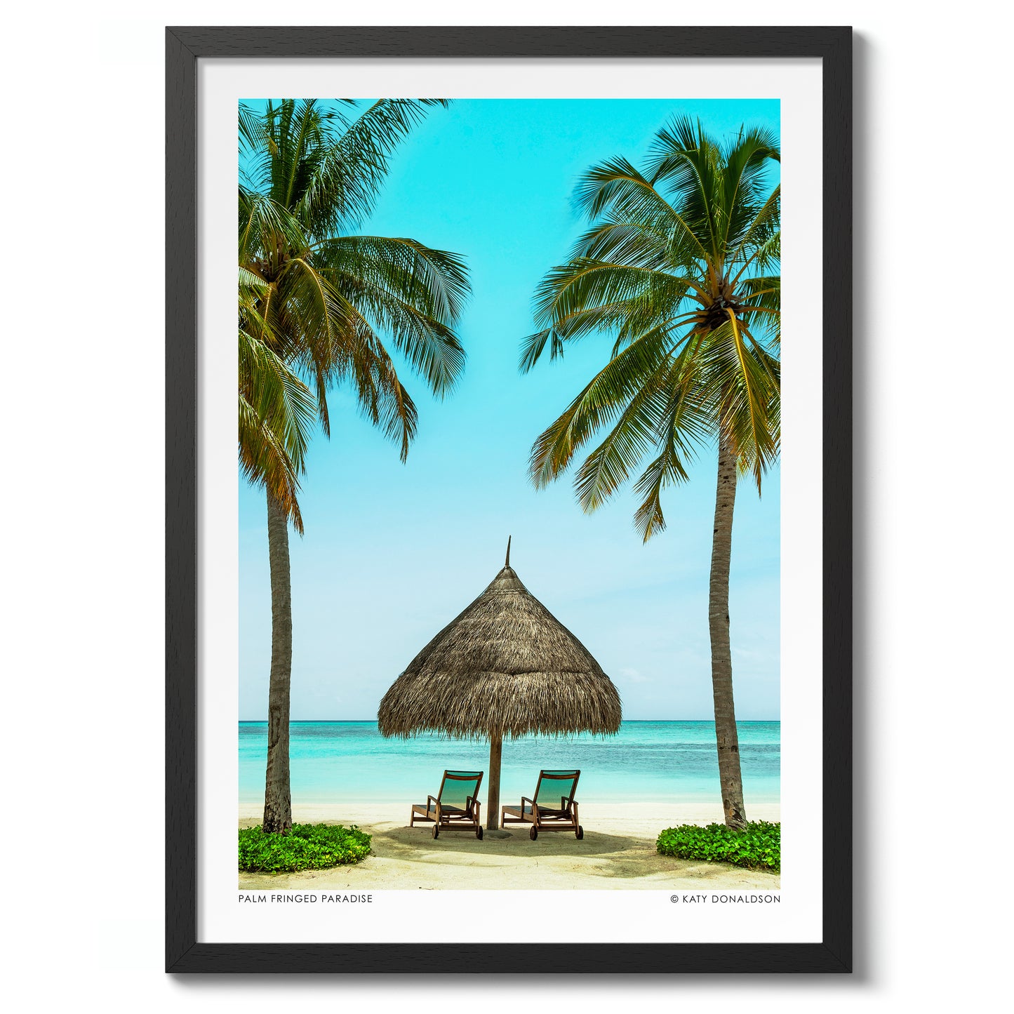 Palm Fringed Paradise