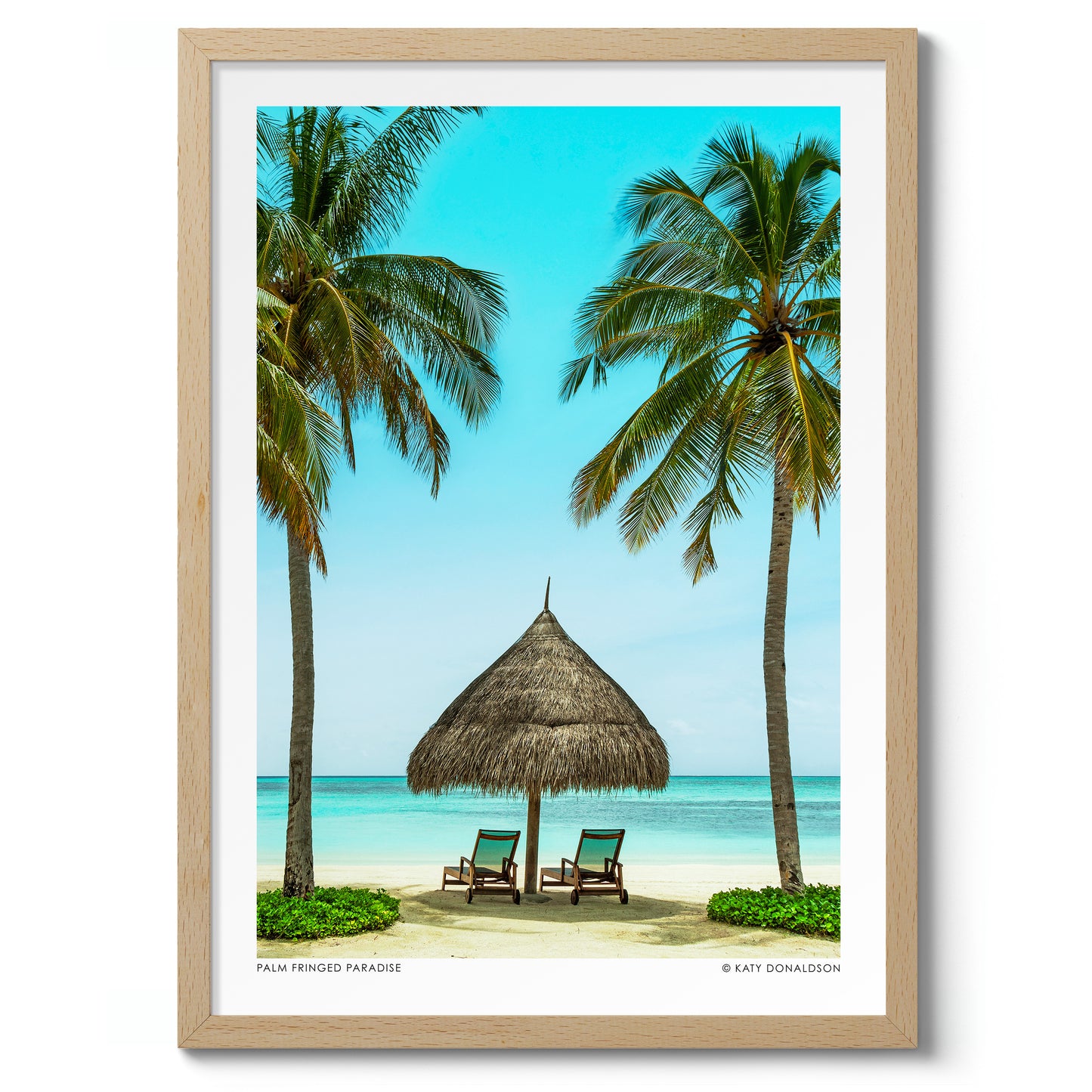 Palm Fringed Paradise