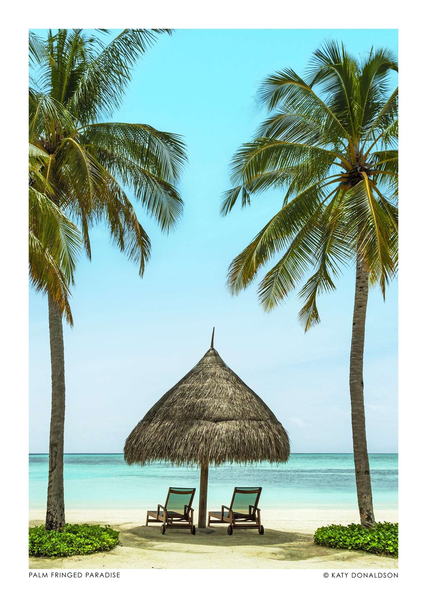 Palm Fringed Paradise