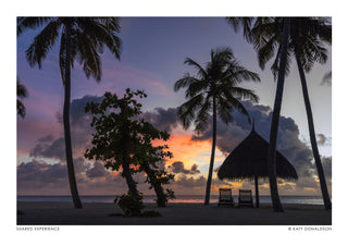 Shared Experience print