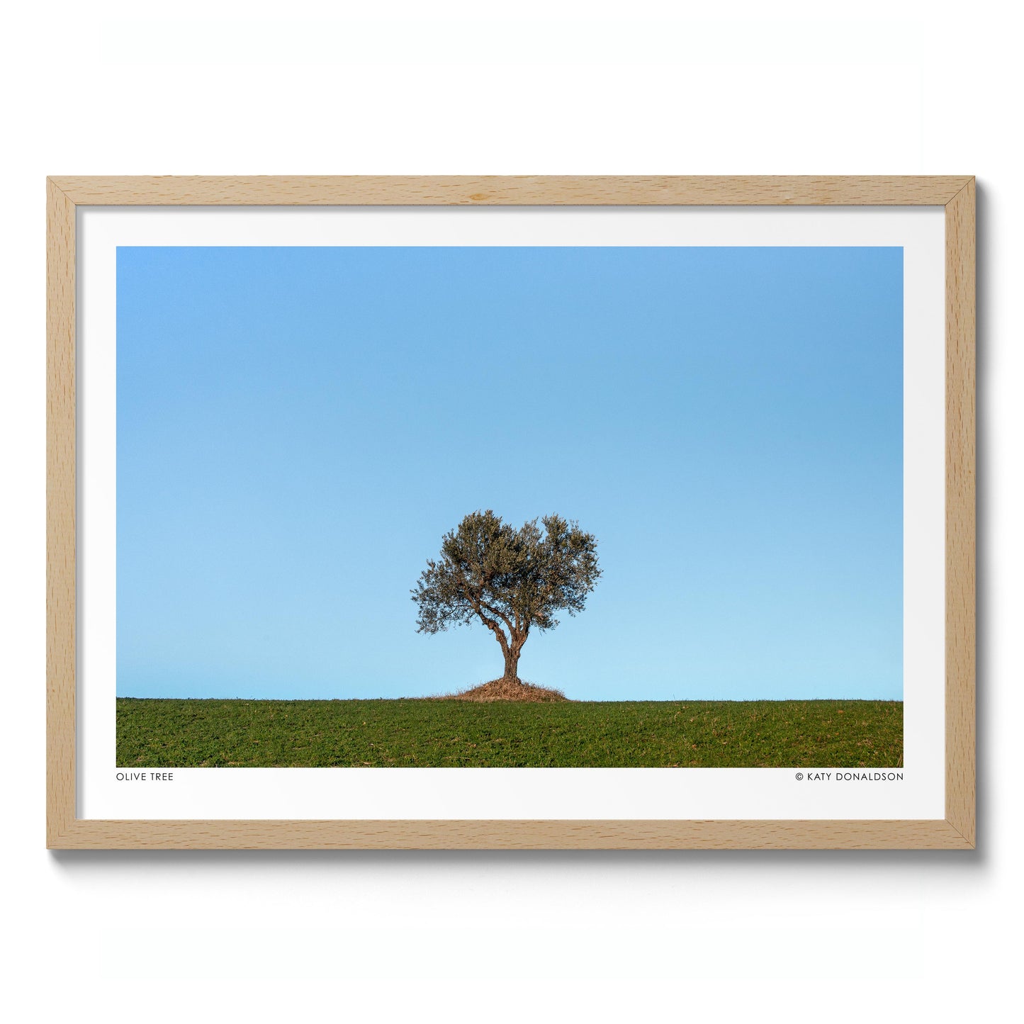 Olivier, Soleil du soir