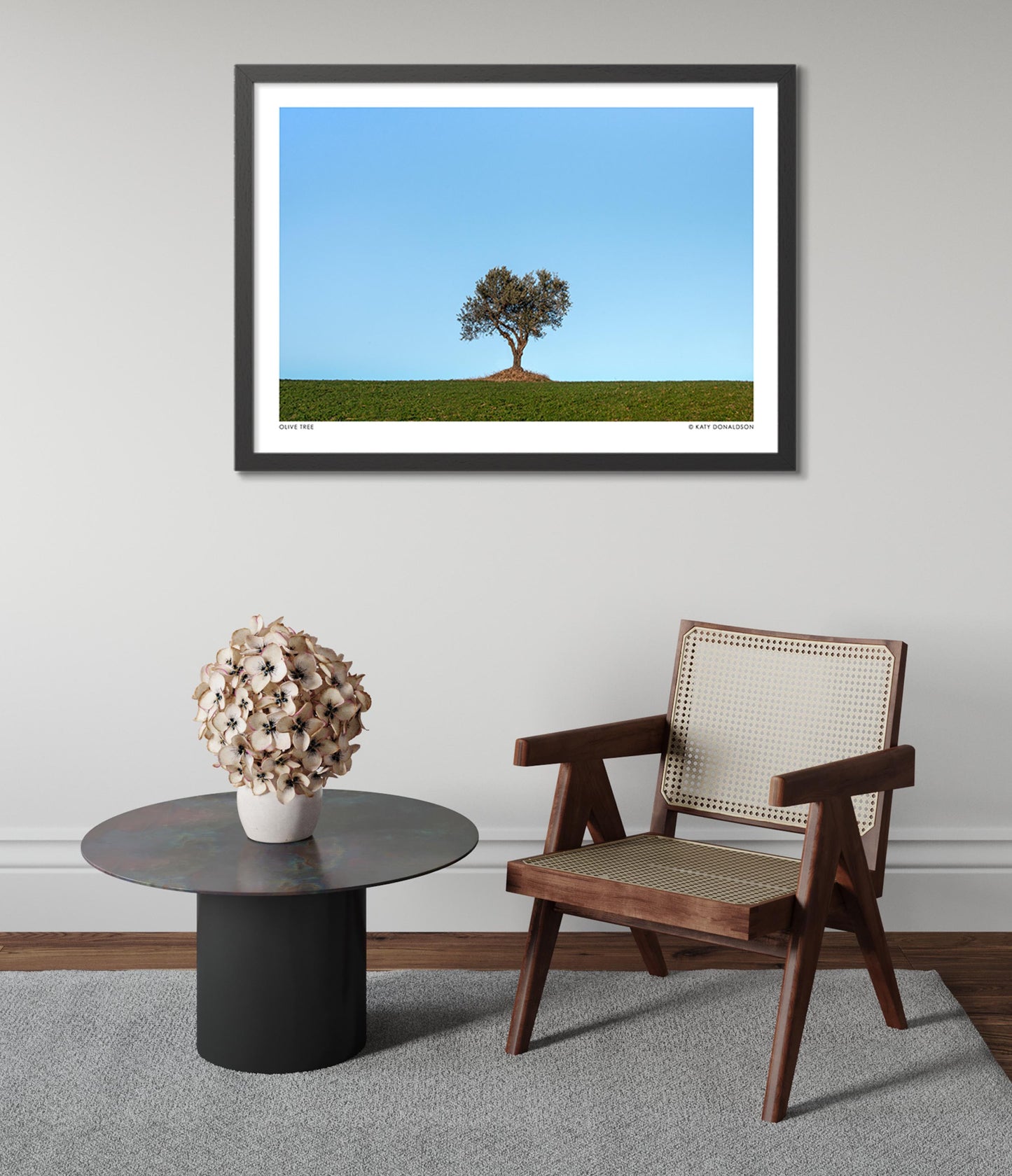 Olivier, Soleil du soir