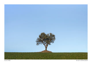 Olivier, Soleil du soir print