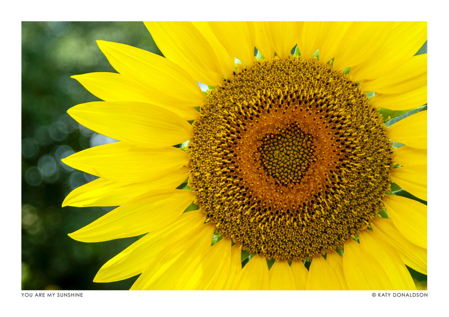 Tu es mon soleil - Print Only frame