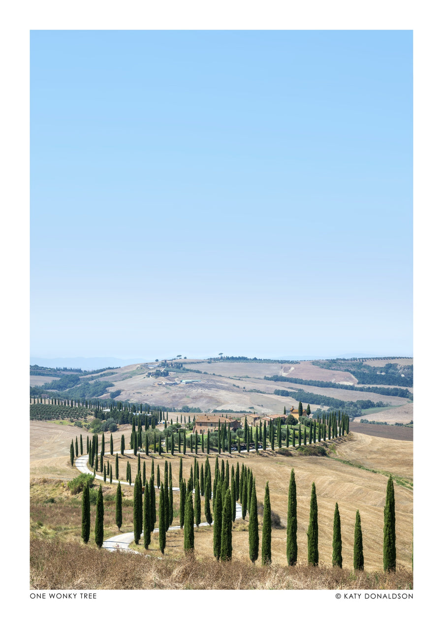 One Wonky Tree Portrait - Print Only frame