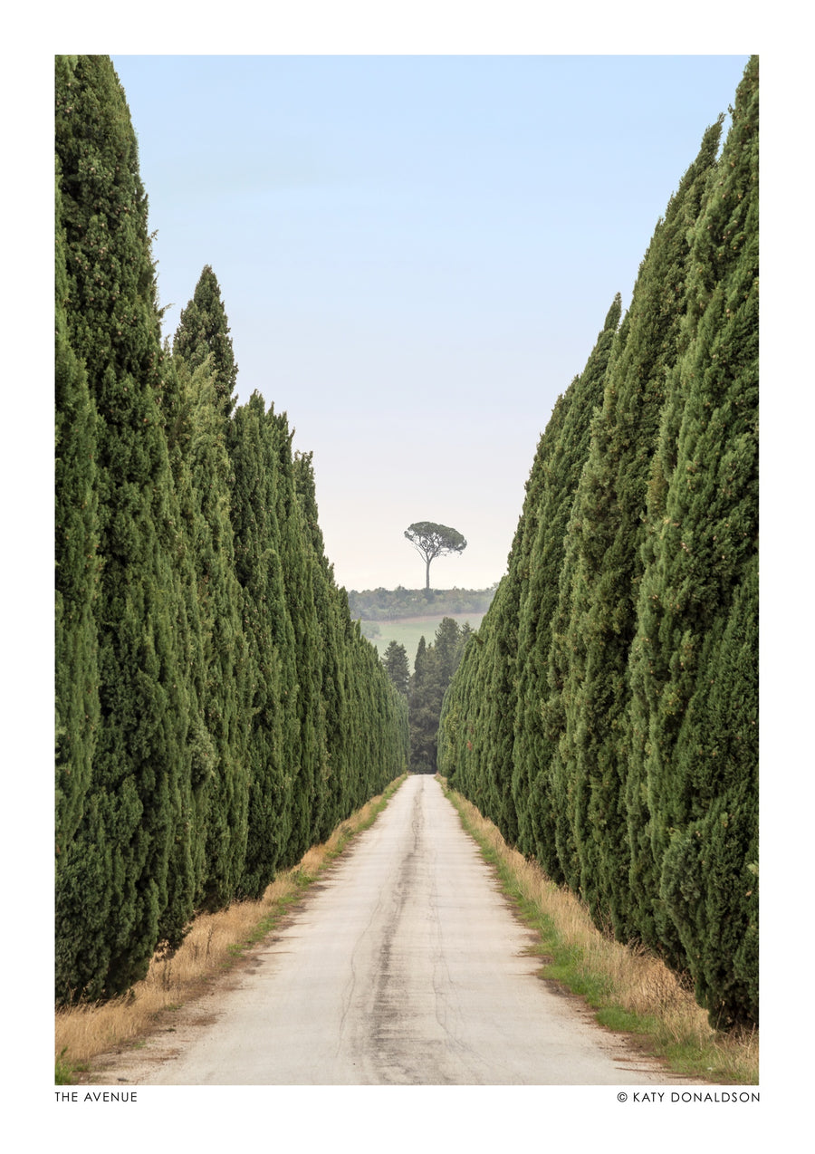 The Avenue Portrait - Print Only frame