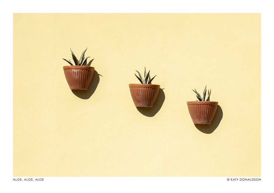Aloe, Aloe, Aloe Landskap - Print Only frame