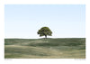 One Tree Hill Landscape print