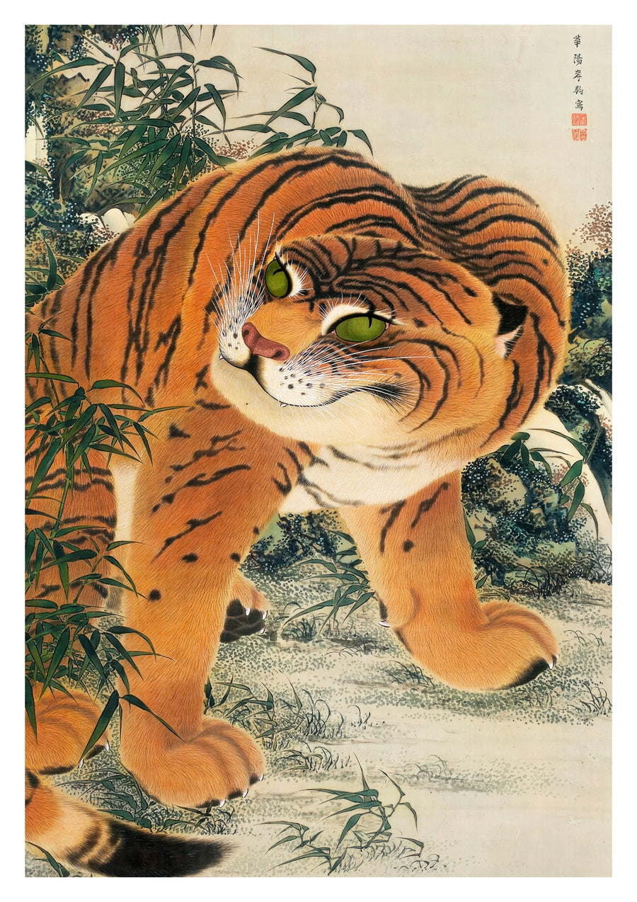 Tijger die zijn poot schoonmaakt - Print Only frame