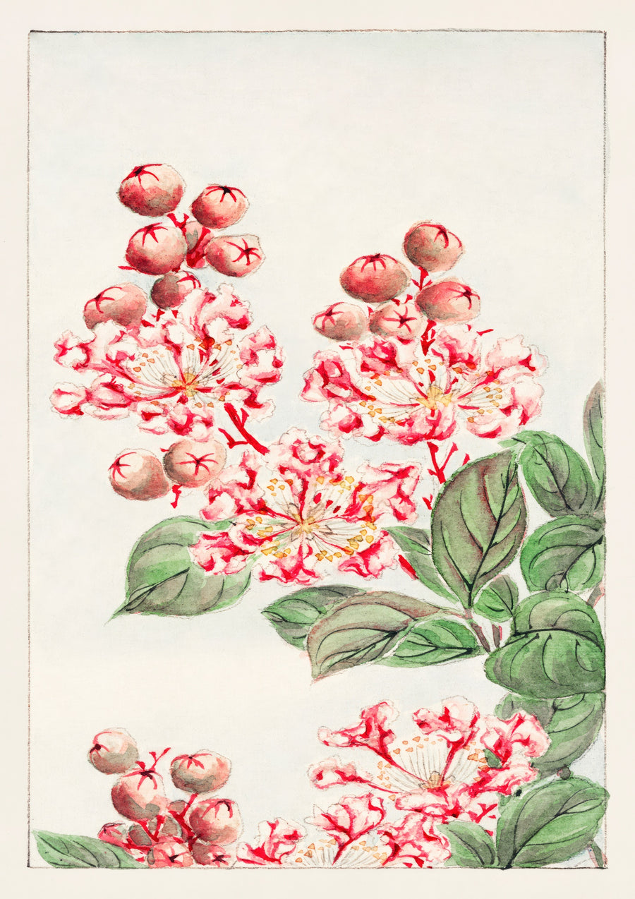Sarusubisblommor - Print Only frame