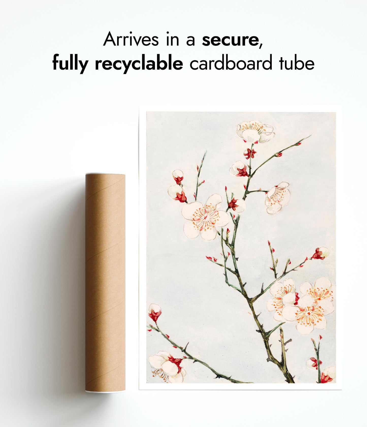 Plommongren med blommor