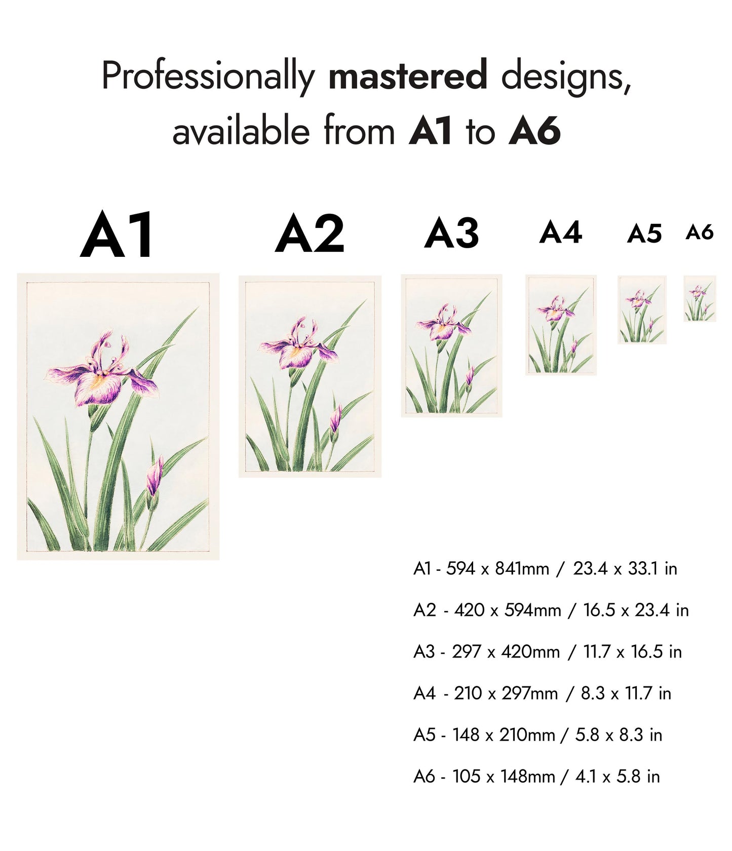 Hanazuma från Hyogoya