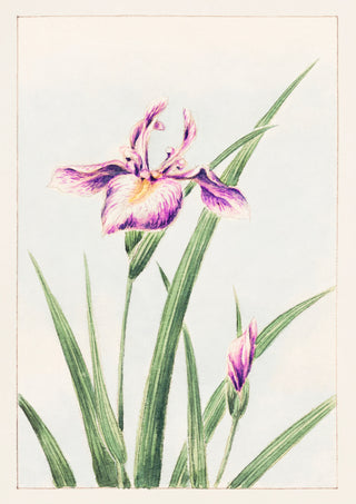 Hanazuma från Hyogoya print