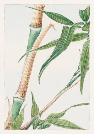 Japansk bambu print