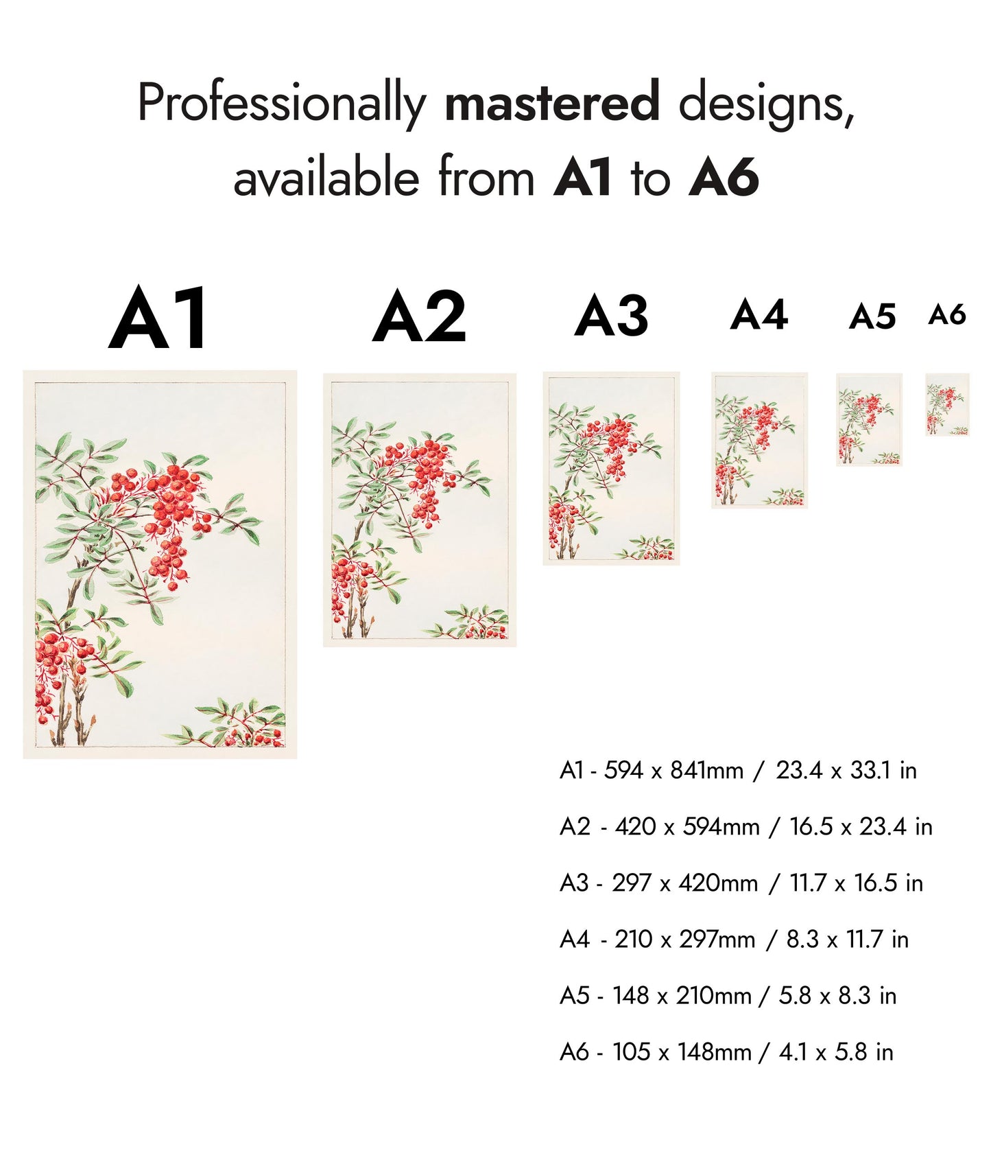 Nandina-buske med bär