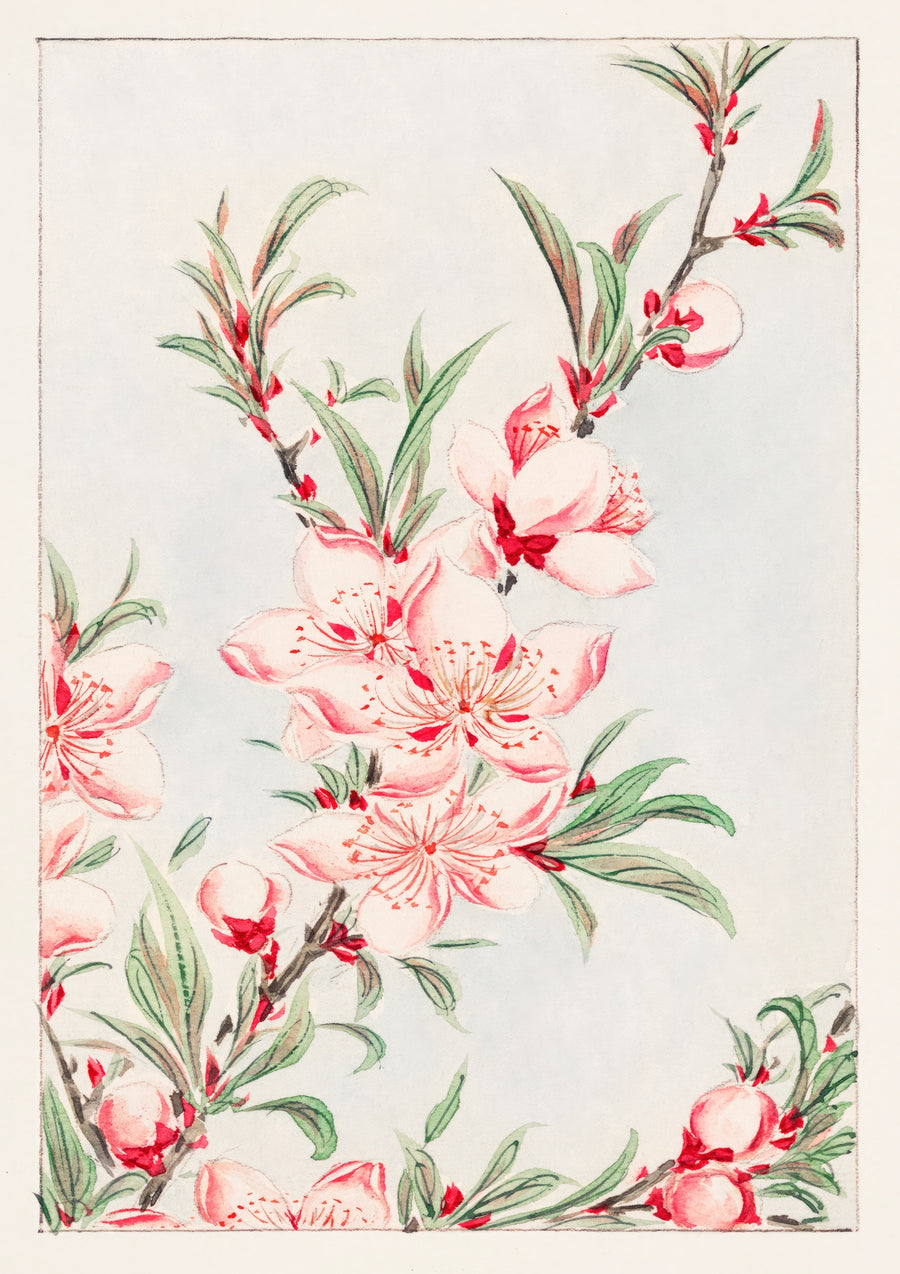Perzikenboom - Print Only frame