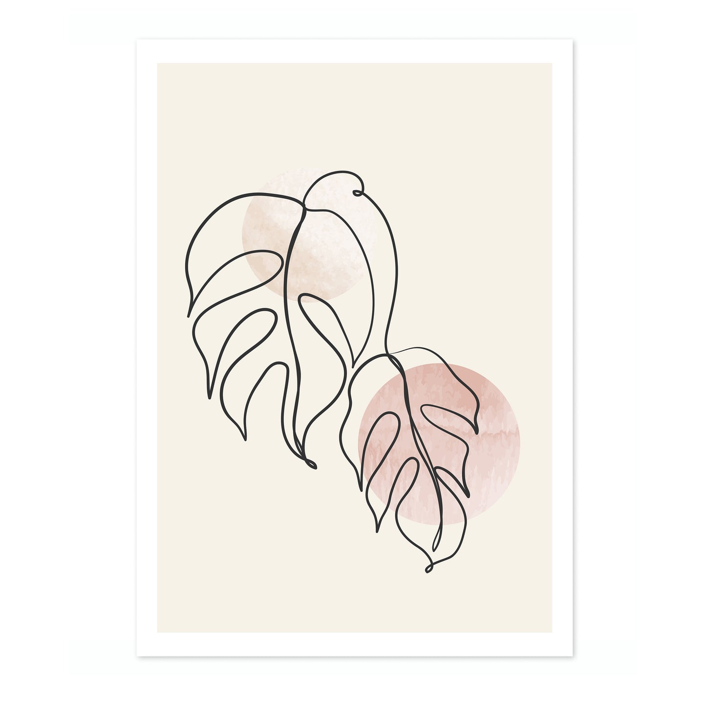 Monstera