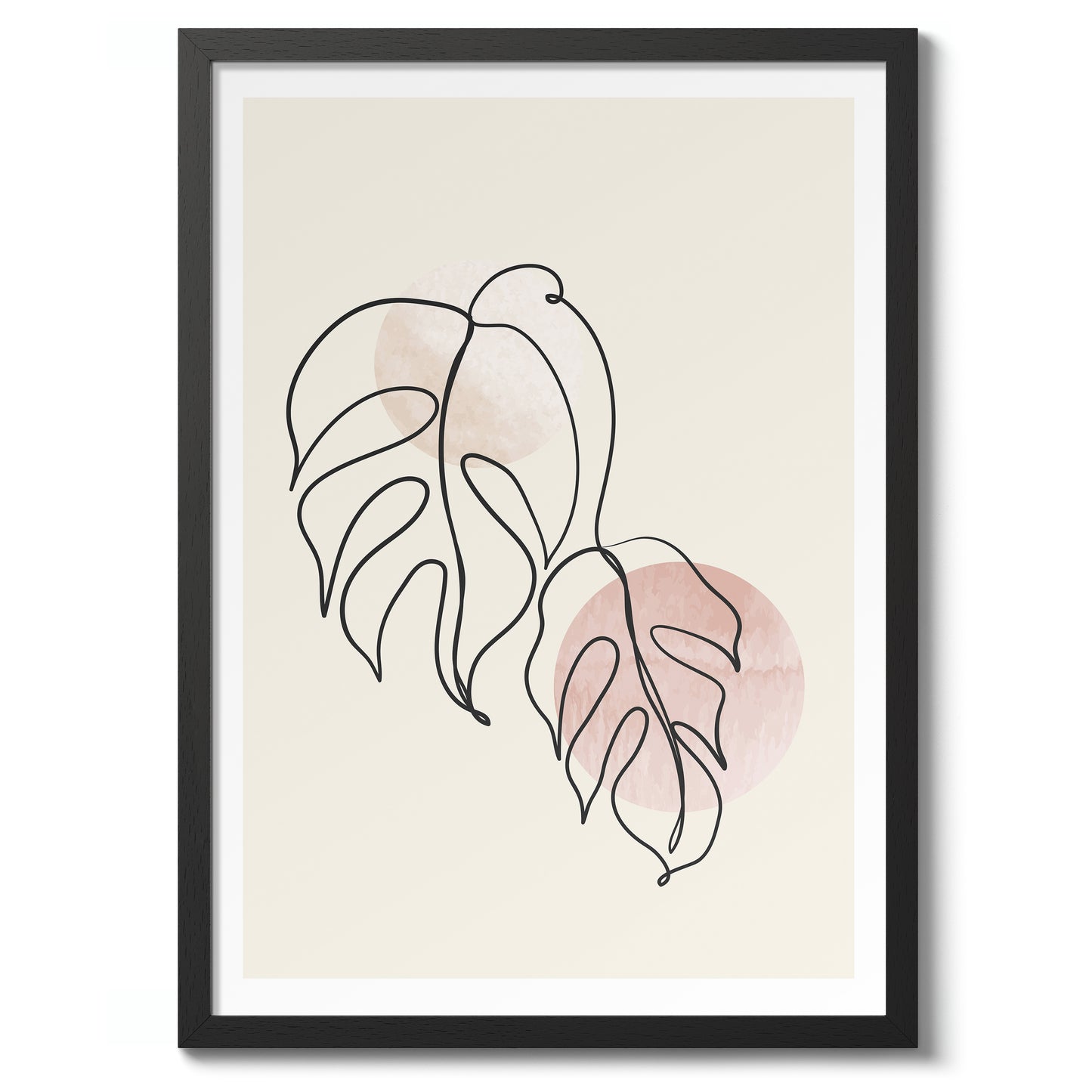 Monstera