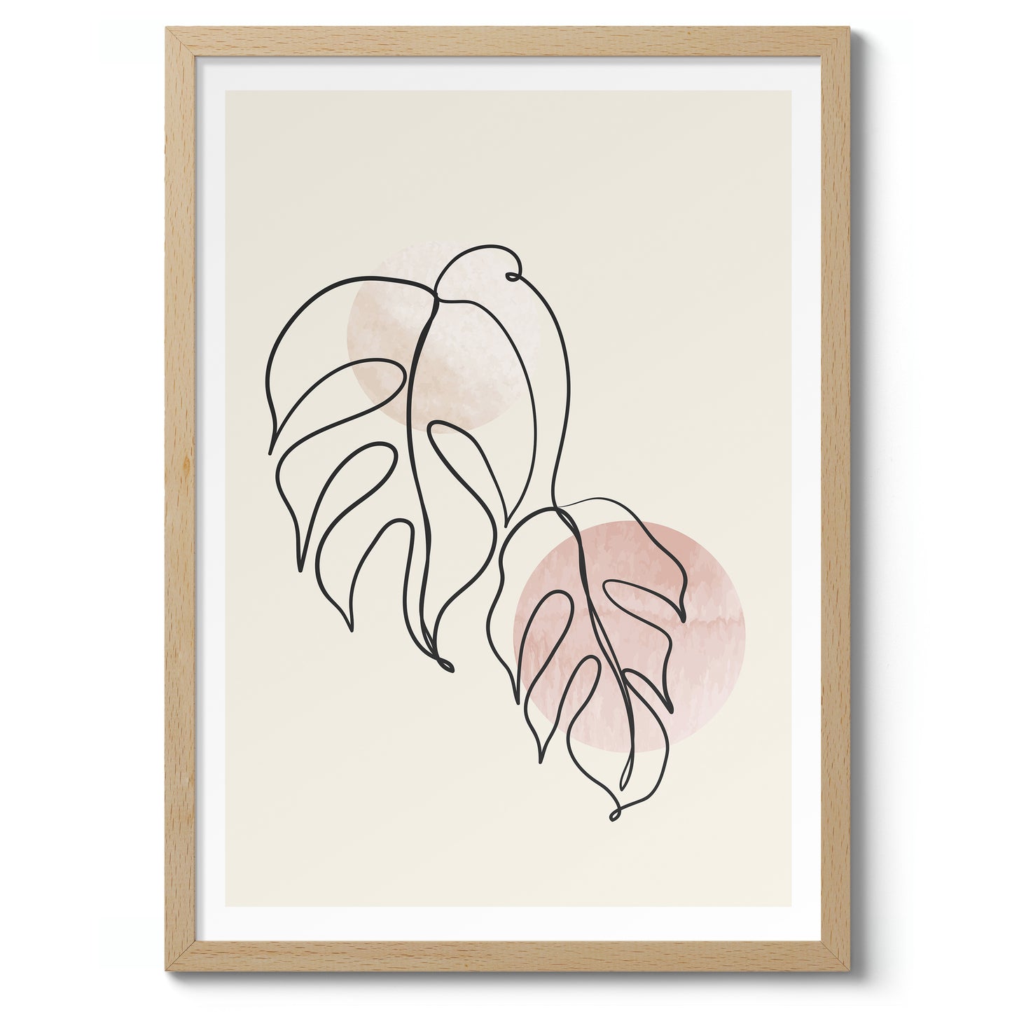 Monstera