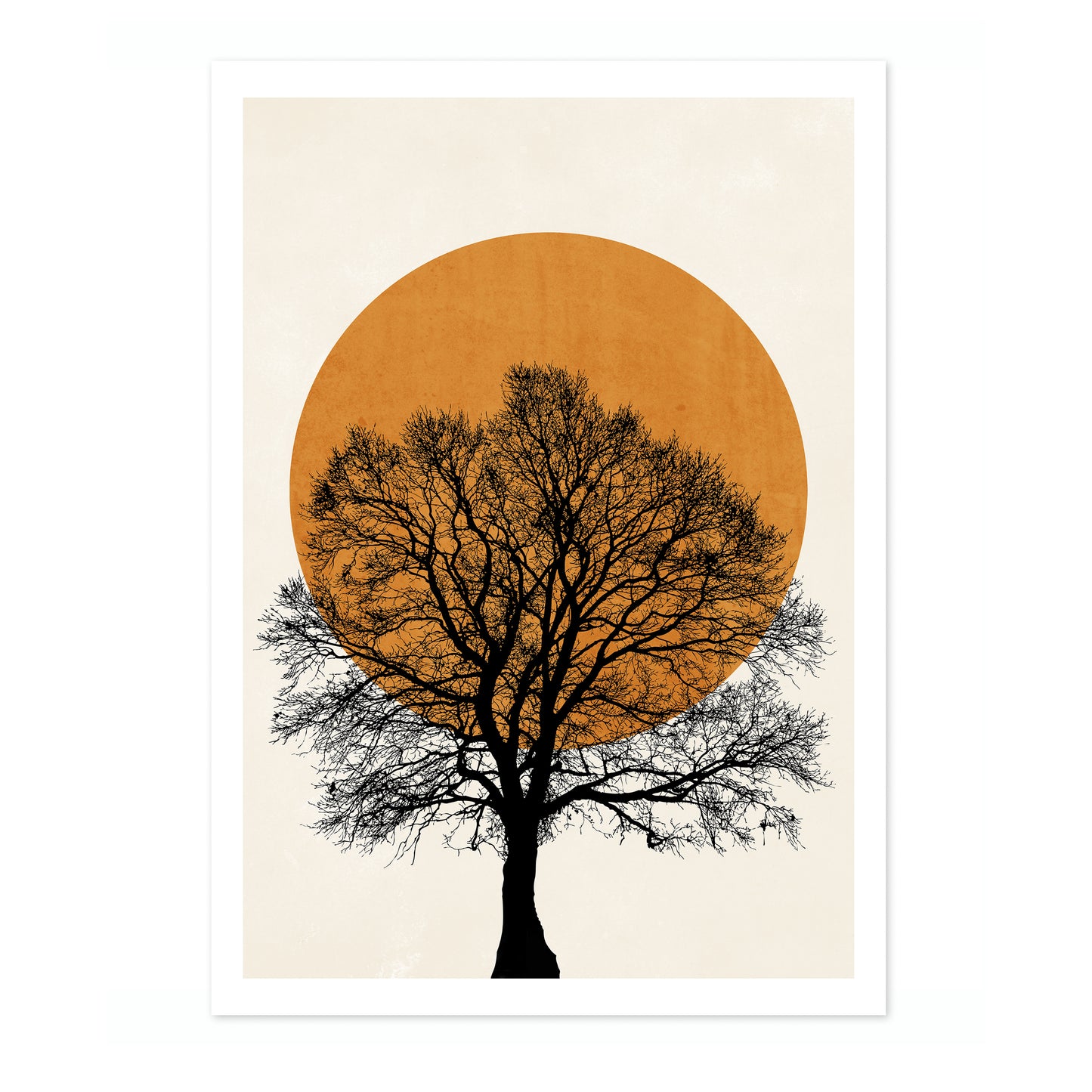 Tree Sun