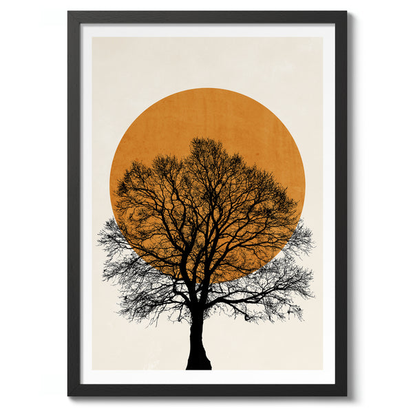 Tree Sun