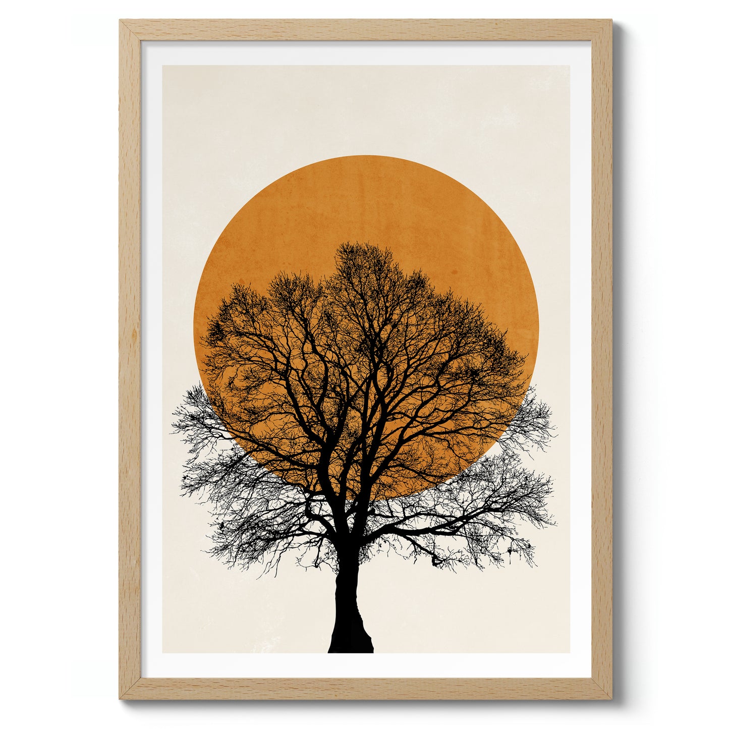 Tree Sun