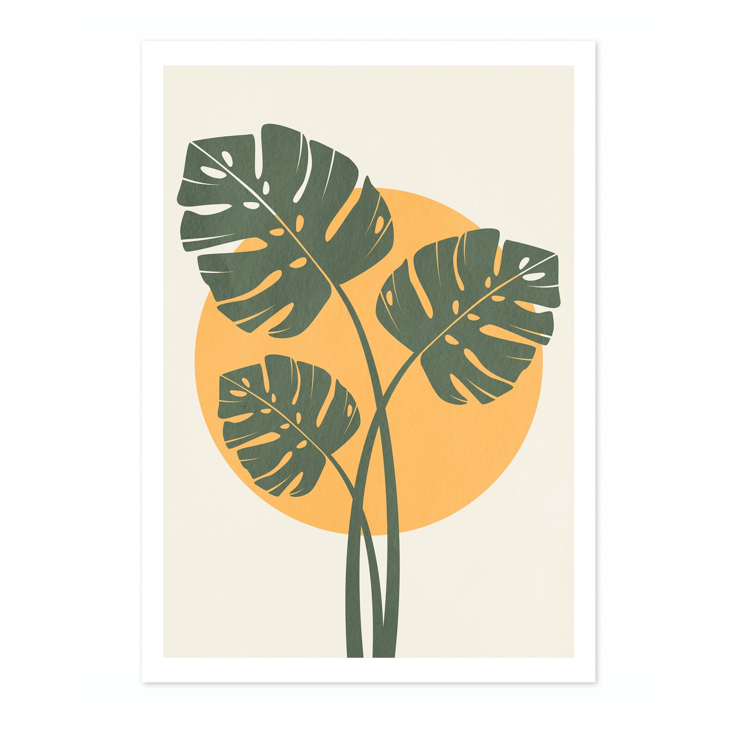 Monstera Leaves
