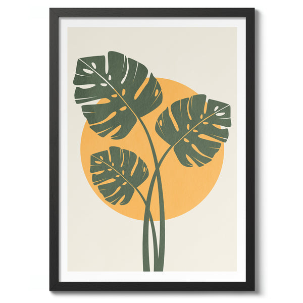 Monstera Leaves