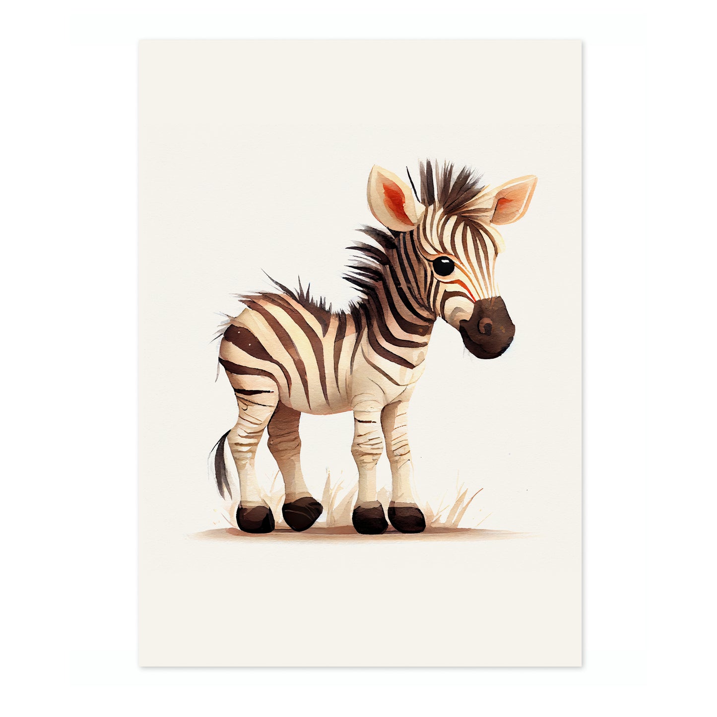 Zebra