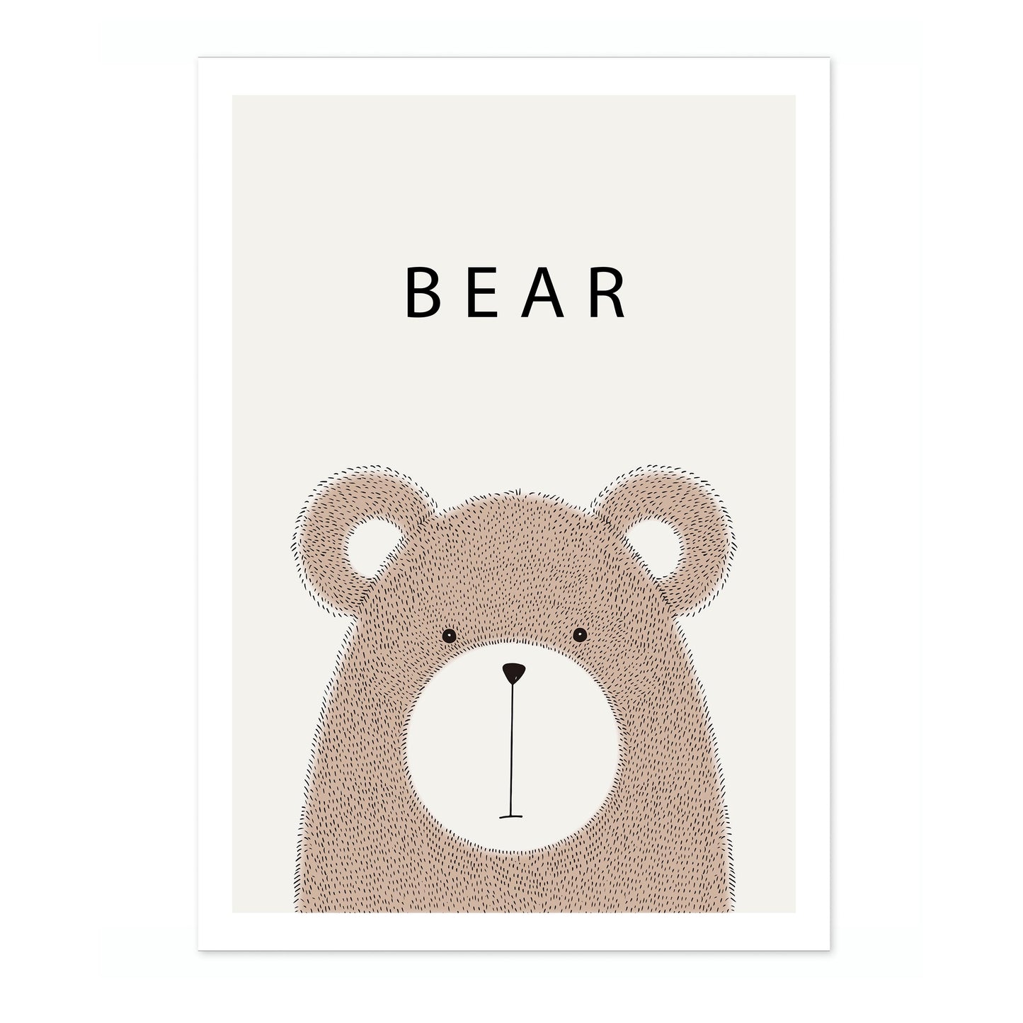 Bear