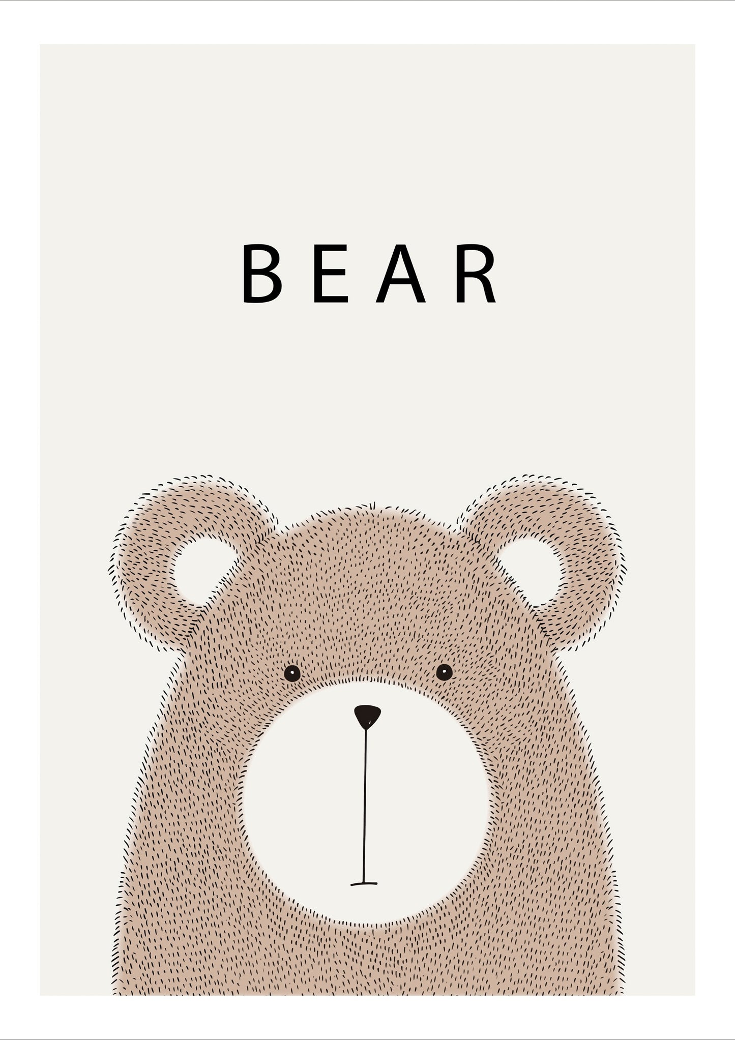 Bear