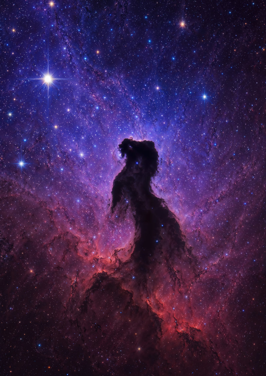 Hästhuvudnebulosan – Orions stjärnbild Hubble - Print Only frame