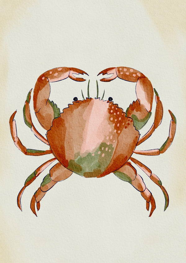 Red Crab