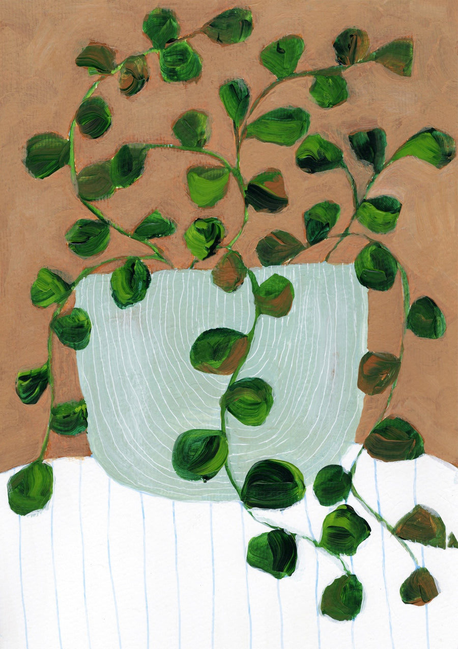 Stilllife Peperomia - Print Only frame