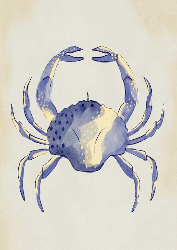 Blue Crab