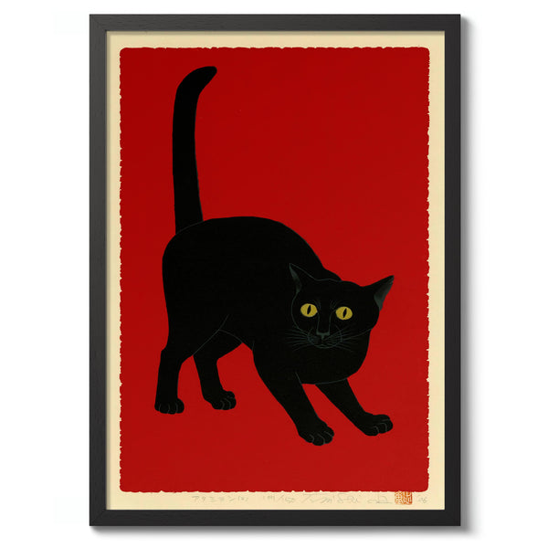 Black Cat on Red