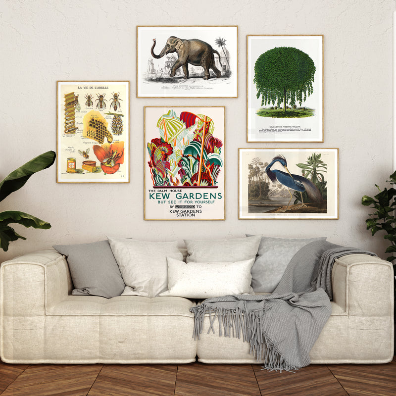 Botaniska Emporium Galleri Vägg