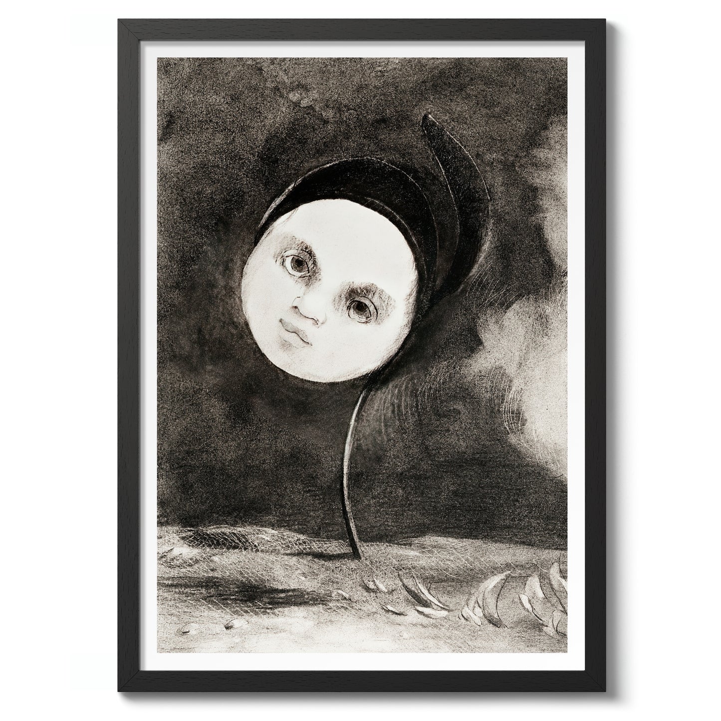 Strange Flower (Little Sister of the Poor)