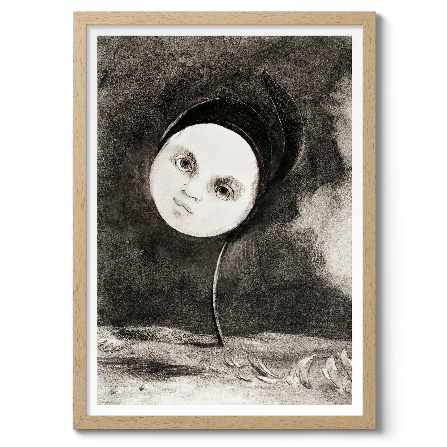 Strange Flower (Little Sister of the Poor)