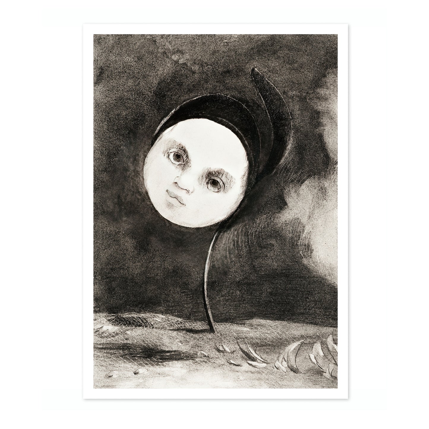 Strange Flower (Little Sister of the Poor)