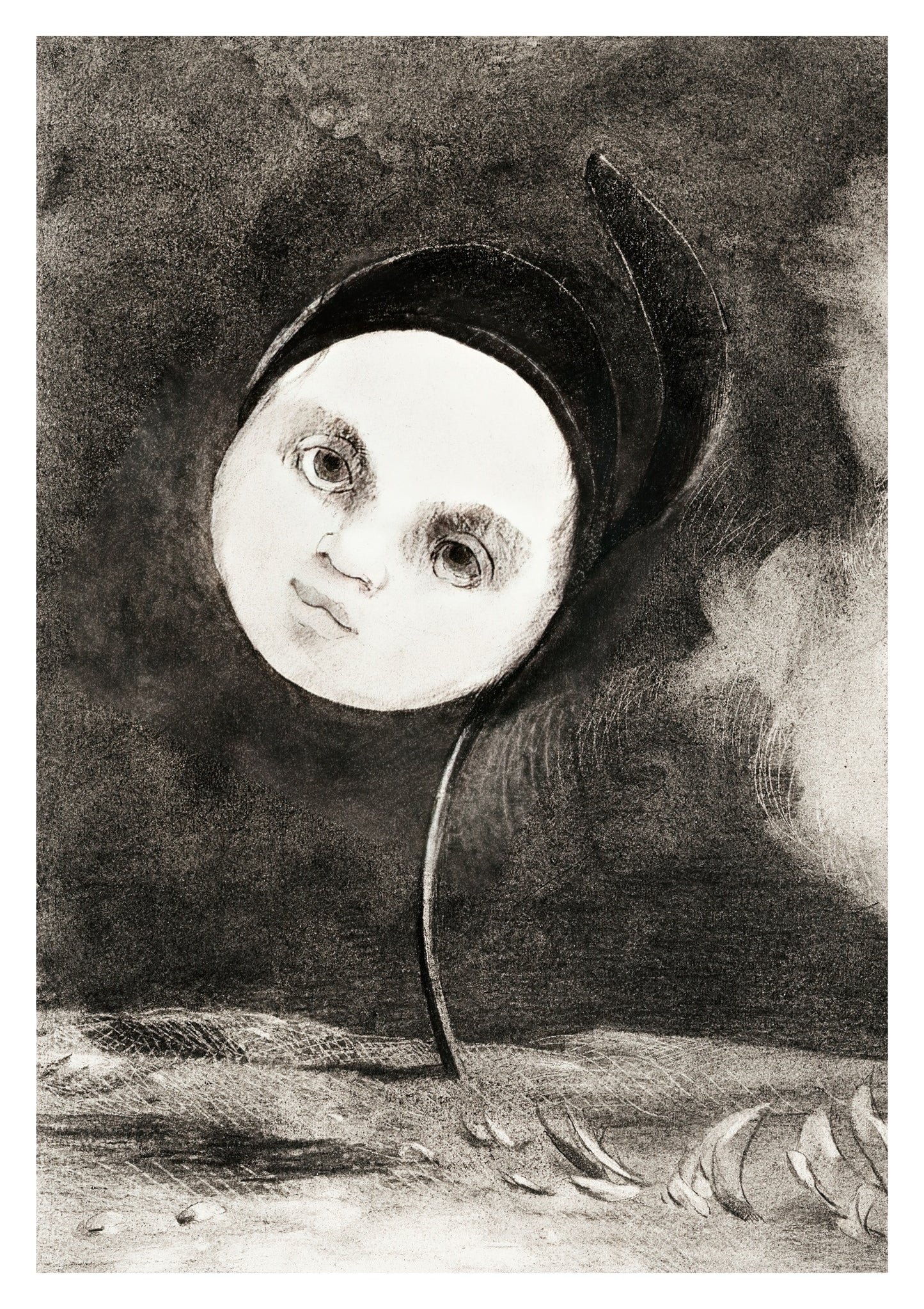 Strange Flower (Little Sister of the Poor)