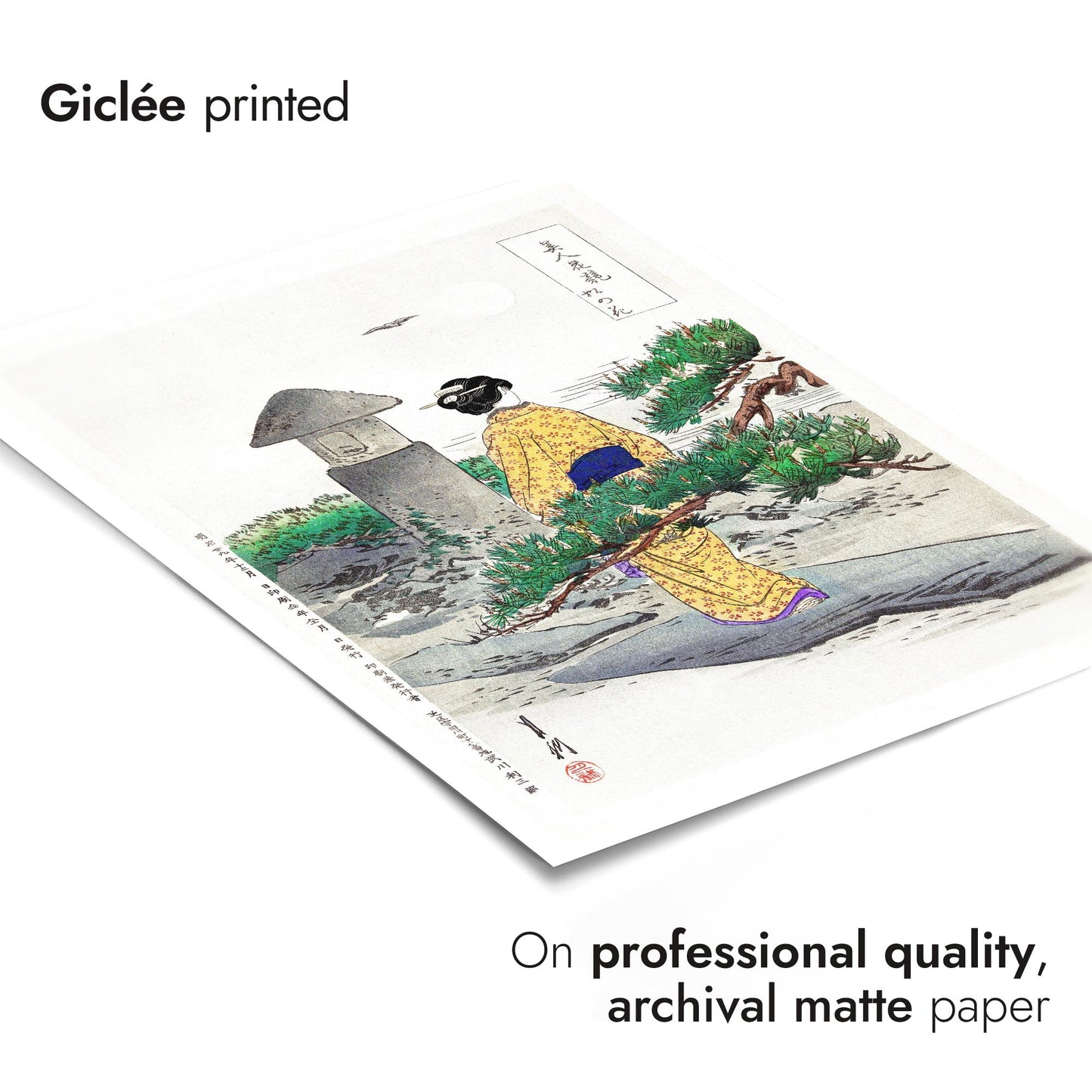 Full Moon & Pine Tree