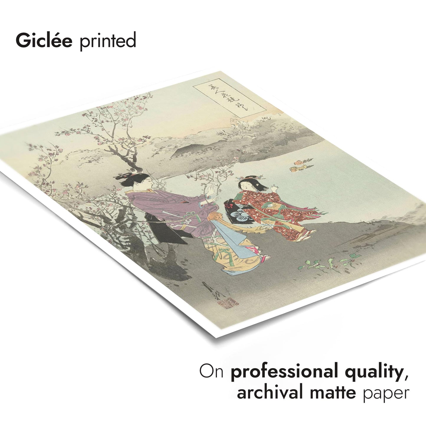 Admiring the Plum Blossom