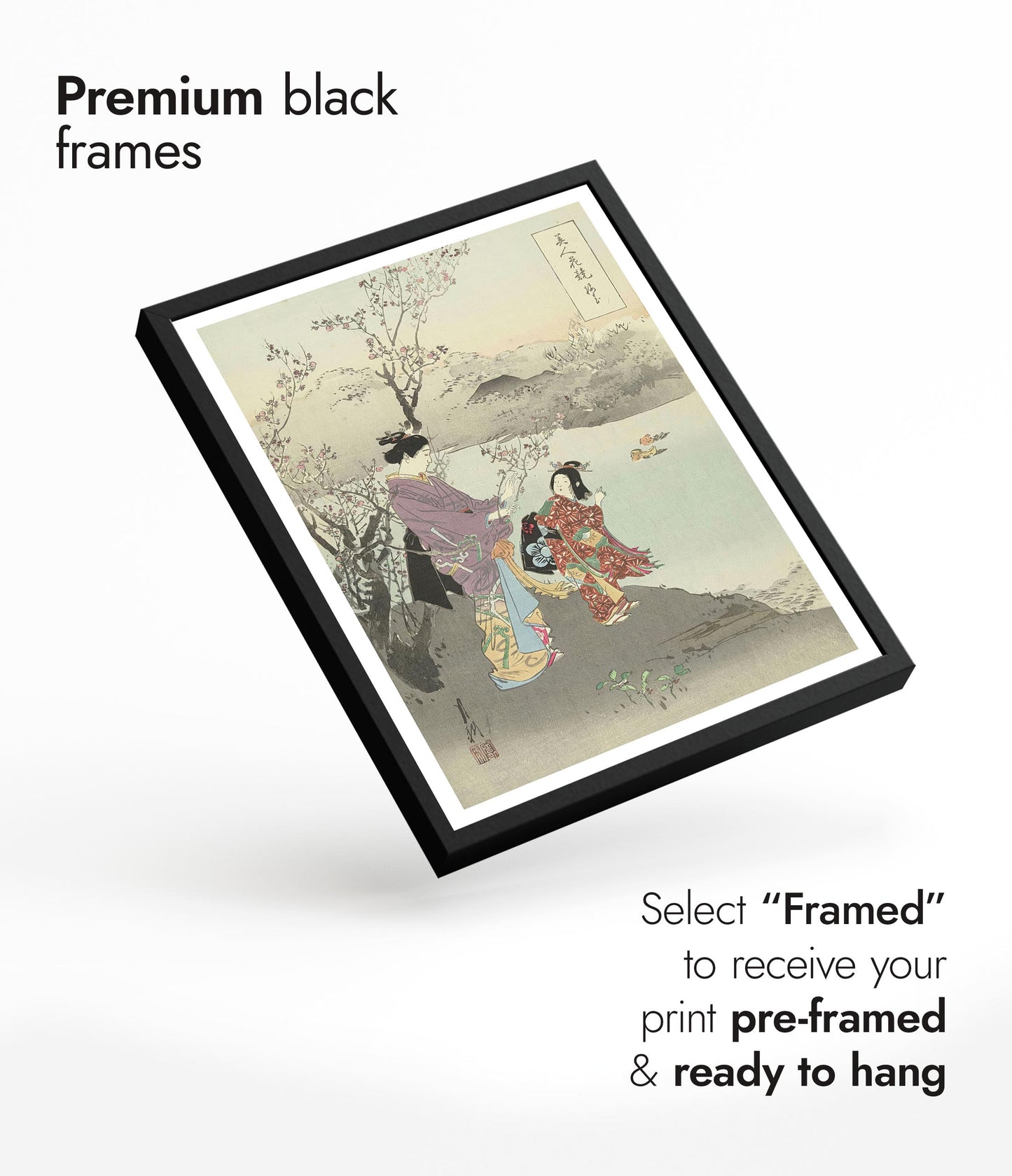 Admiring the Plum Blossom