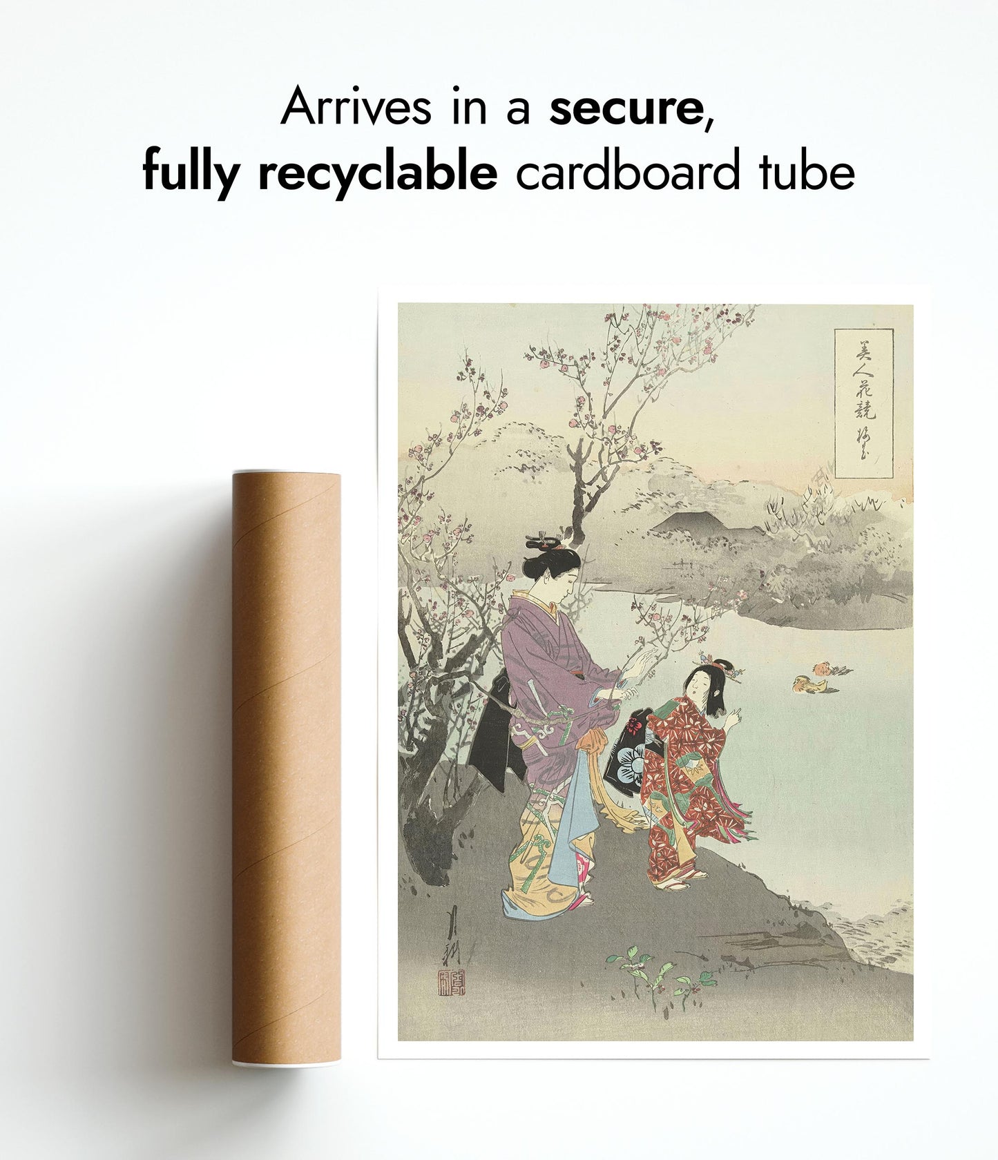 Admiring the Plum Blossom