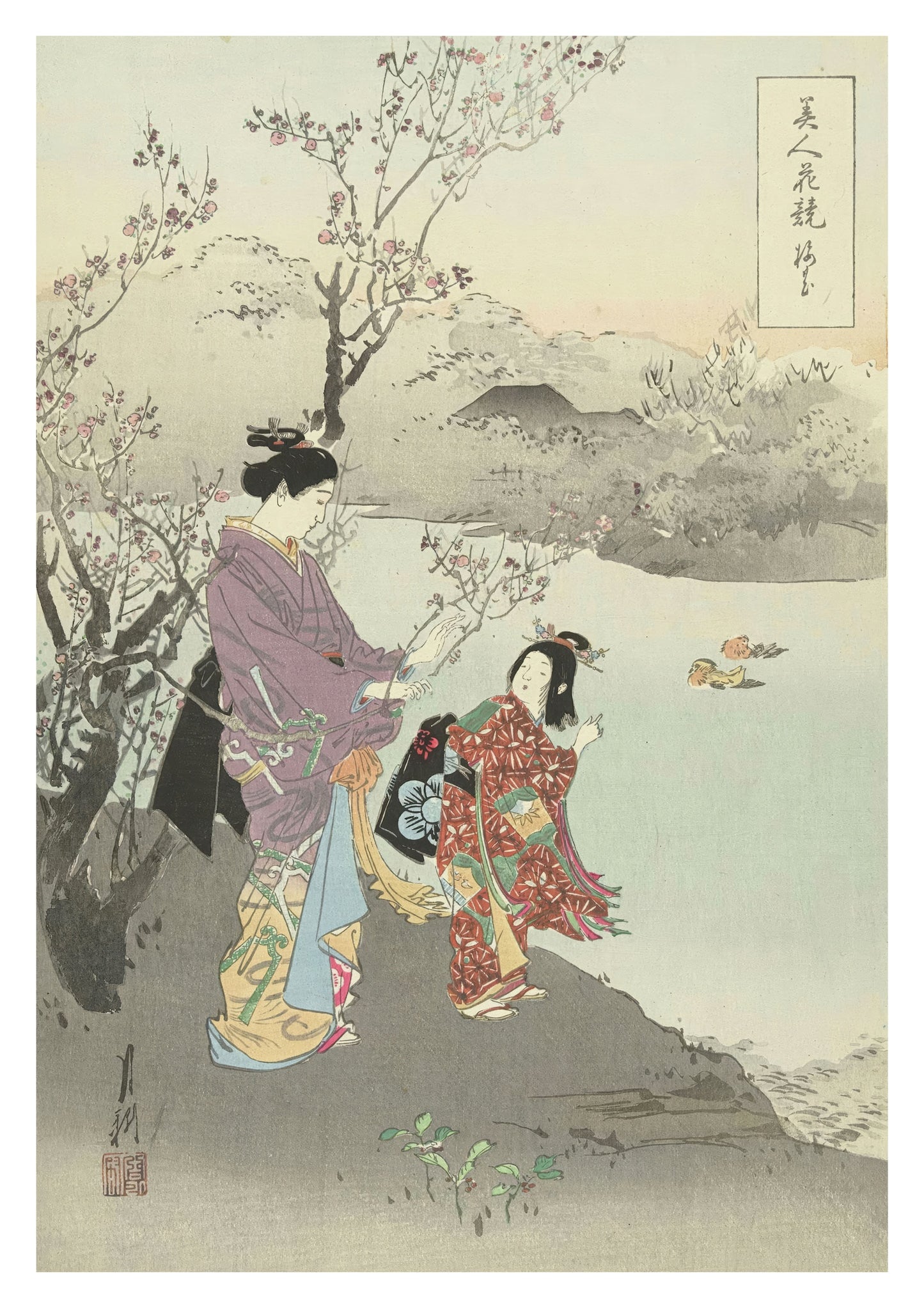 Admiring the Plum Blossom